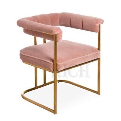 Stainless Steel Frame Modern Dining Chair