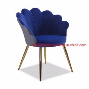 Top Quality Room Modern Dining Chair