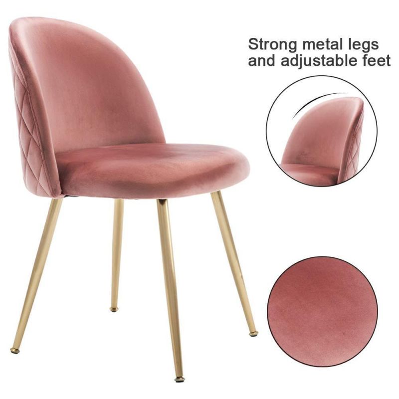 Luxury Colorful Soft Velvet Fabric Upholstery Cafe Dining Chair with Metal Leg