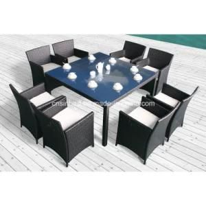Rattan Dining Furniture for Outdoor with 8 Kd Chairs / SGS (8215KD)