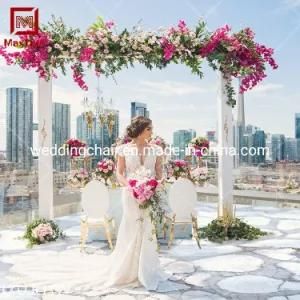 Modern Stainless Steel Banquet Wedding Event Chairs