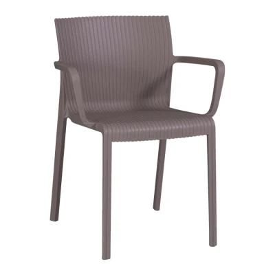 Modern Plastic Cafe Chair Solid Wood Leg Restaurant Dining Room Plastic Chairs