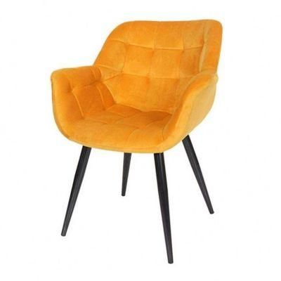 Colorful Living Modern Velvet Upholstery Fabric Dining Room Chair Modern Chair Velvet Gold Legs Comfortable Dining Chair
