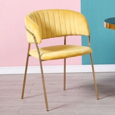 Various Colors and Comfortable Dining Chairs