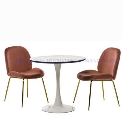 Wholesale Scandinavian Dining Table Light Luxury Small Apartment Dinner Table Restaurant Dining Furniture Marble Dining Table