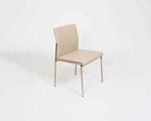 Dining Chair/Modern Home Chair/Indoor Chair