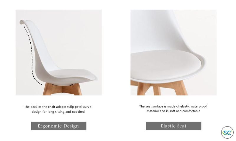 Modern Luxury Modern Dining Chairs