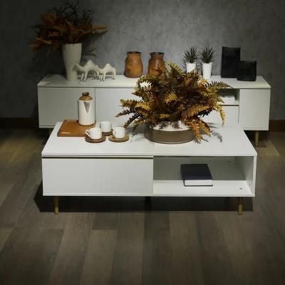 Hot Sale Living Room Furniture Modern New Style Promotion Wooden Coffee Table
