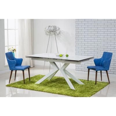 White Domestic Ceramic Dining Living Room Home Furniture