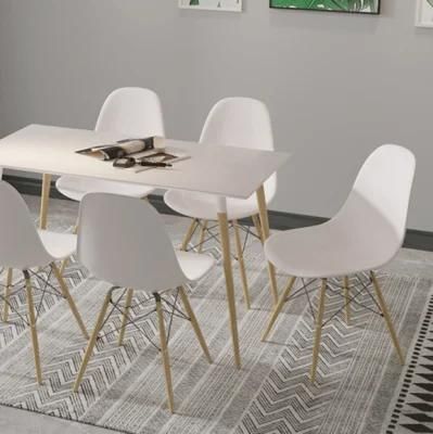 Nordic Style Luxury Modern Chair for Dining