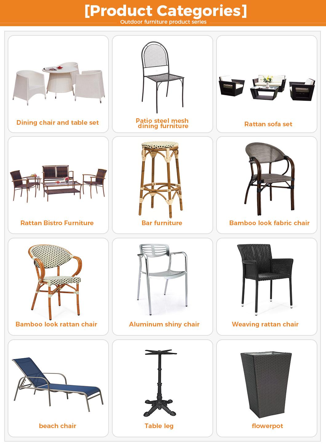 Modern Style Chairs Plastic Rattan Chairs for Dining