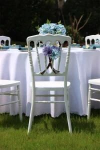 Banquet Chair/Napoleon Chair/Wedding Chair