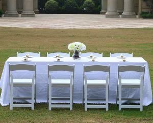 Outdoor Wedding Chair/Plastic Wedding Chair L-1