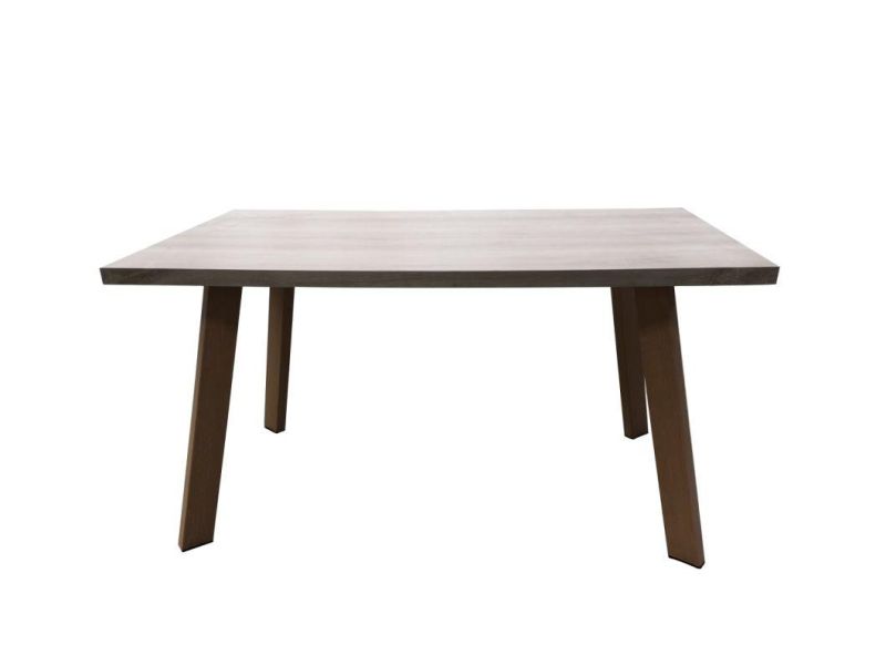 Modern Simple Iron Metal Legs Dining Tables