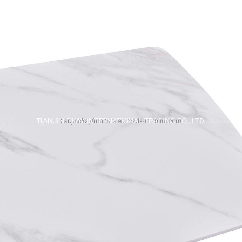 China Shengfang Furniture Marble Dining Room Table with Modern