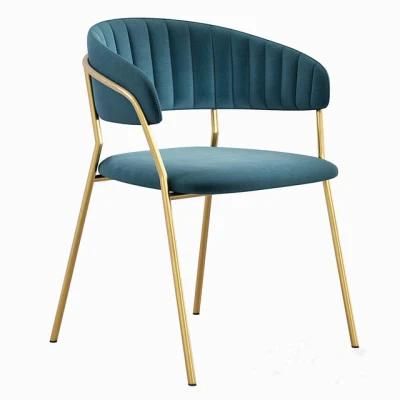 Home Upholstered Italia Velvet Wayfair Velour Seating Lounge Bar Contemporary Restaurants Houzz Dining Accent Chair