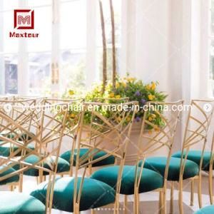Colorful Chameleon Dining Chair for Wedding Hall