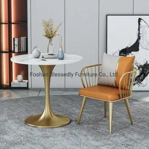Oudoor Chair Dining Furniture Metal Frame Chair Leather Chair
