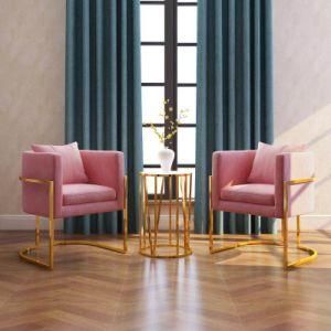 2018 New Design Styled Dinner Chair for Restaurant Furniture (3#)