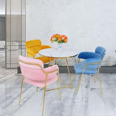 2021 Modern Design Dining Room Furniture Metal Frame Restaurant Kitchen Dining Chair